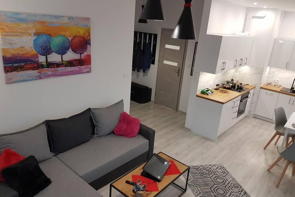 Komfortowy Nowoczesny Apartament Kustronia Z Garazem Balkonem Wanna Bielsko-Biała Dış mekan fotoğraf